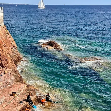 Azurea Esterel Vue Piscine Chauffee Classe 3 Etoiles * Сен-Рафаэль